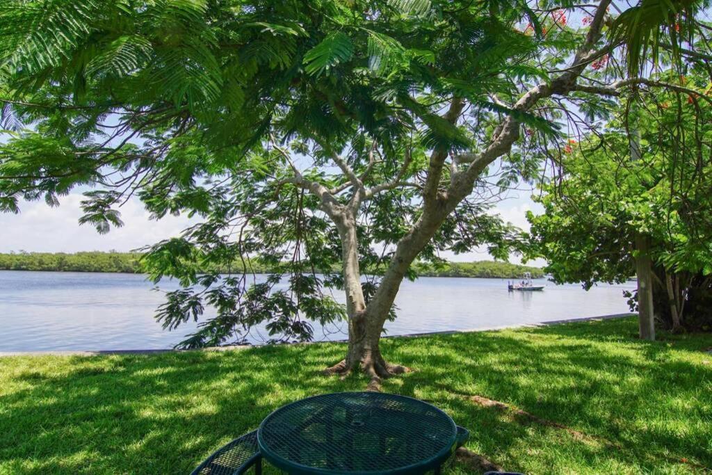 Riverview, Studio 507, Beach Steps Away!+Pool+Wifi Ruskin Exteriör bild